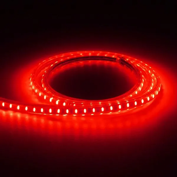 1M SMD3014 Waterproof LED Rope Lamp Party Home Christmas Indoor/Outdoor Strip Light 220V