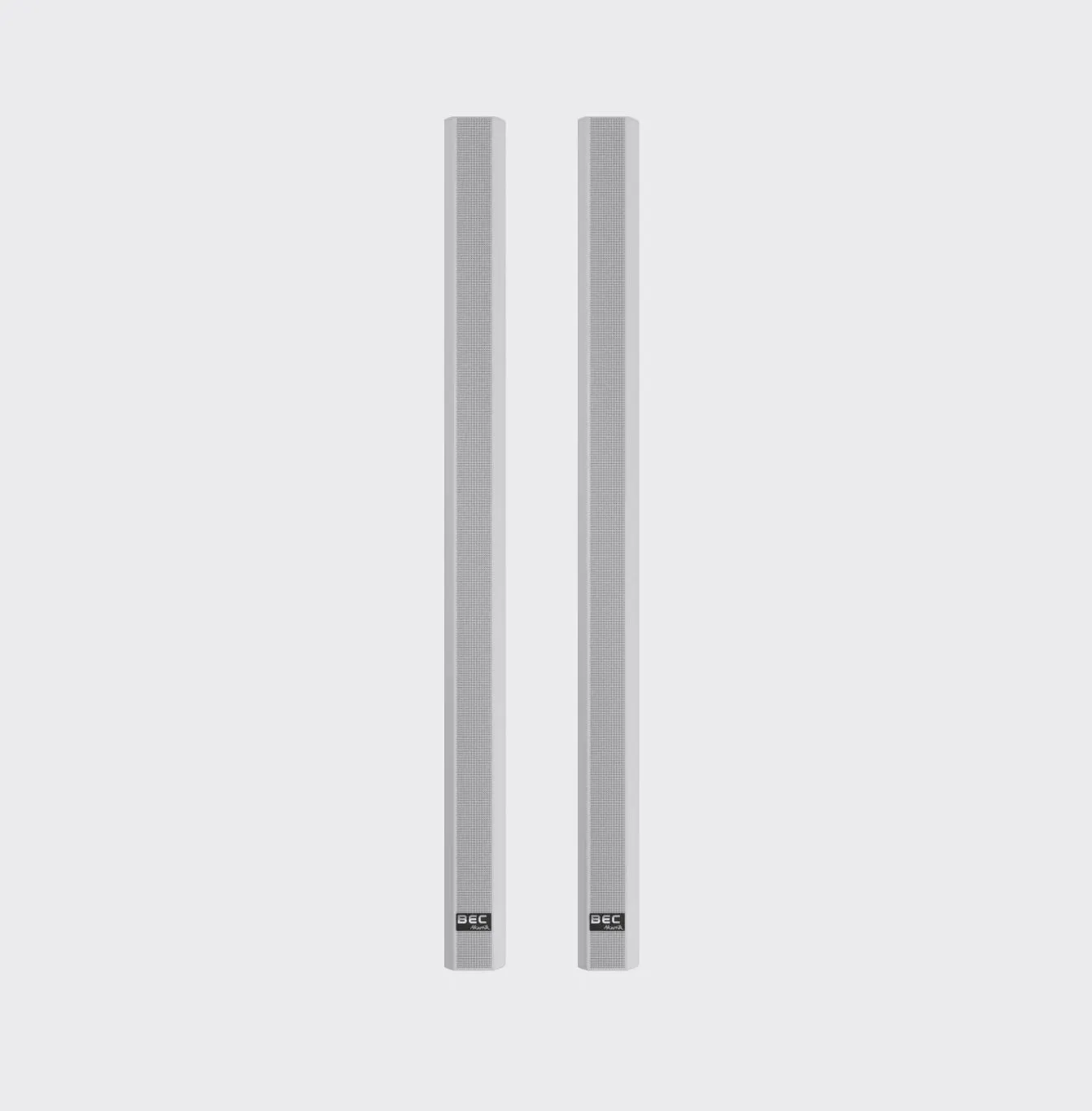 BEC Akustik IC120 Line Array Speaker - Pair