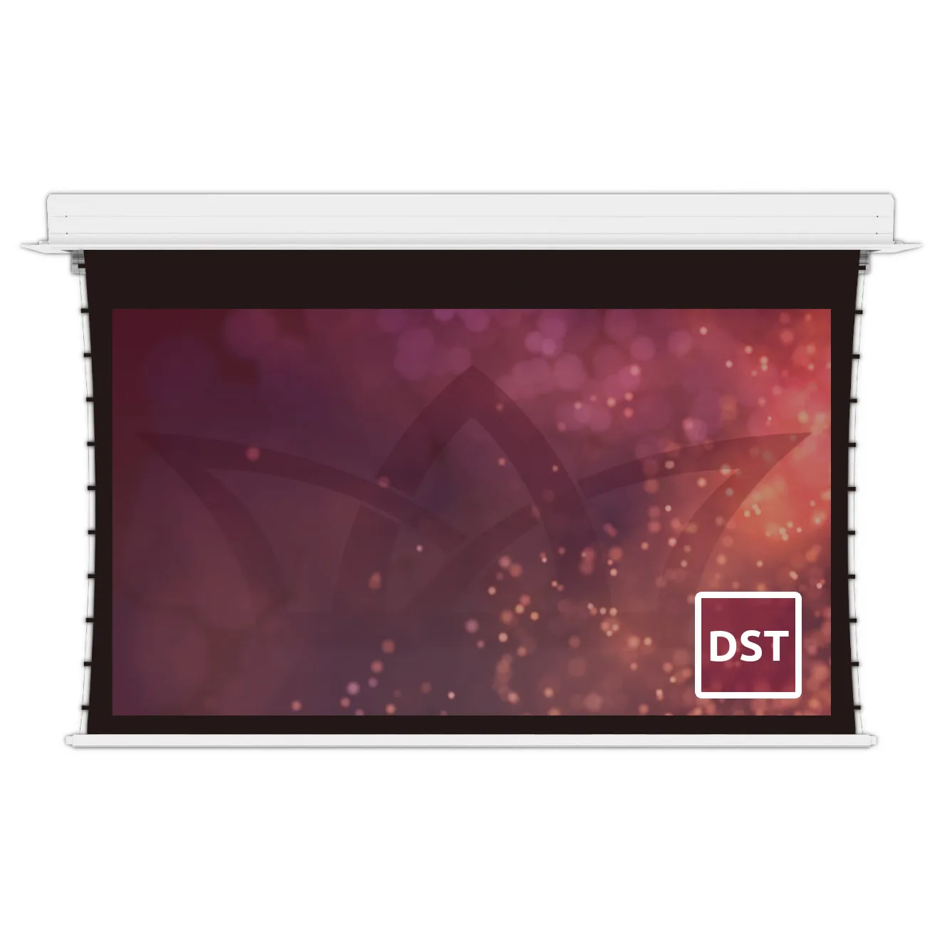 Deluxe In-Ceiling Electric Series Tab-Tension 16:9 200" Rear Projection
