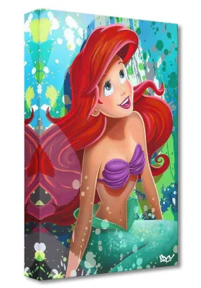 Disney Treasures: The Little Mermaid