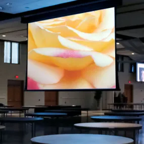 Draper Paragon V [16:10] Electric Retractable Projection Screen 278" (147" x 236") 114617CB