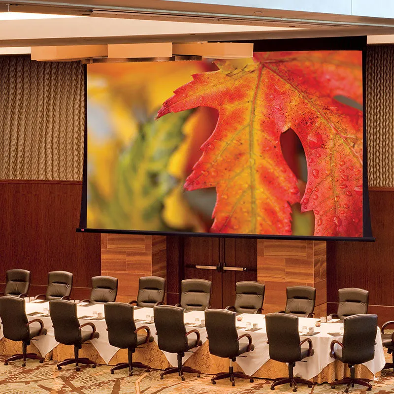 Draper Paragon V [16:10] Electric Retractable Projection Screen 278" (147" x 236") 114617CB