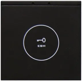 ESMB