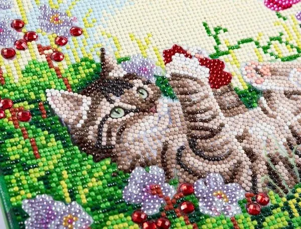 "Playful Cat" Crystal Art Canvas 30x30cm