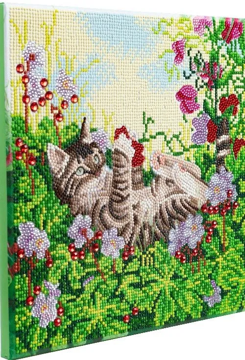 "Playful Cat" Crystal Art Canvas 30x30cm