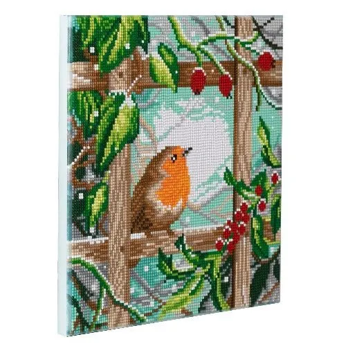 "Robin at the Fence" Crystal Art 30x30cm Canvas