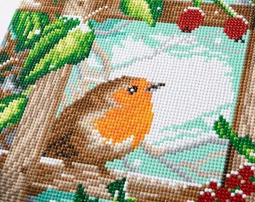 "Robin at the Fence" Crystal Art 30x30cm Canvas