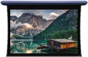 Stewart Filmscreen Cabaret Retractable, BC 150" (73.5x130.75) 16:9 (HDTV) CAB150HST10
