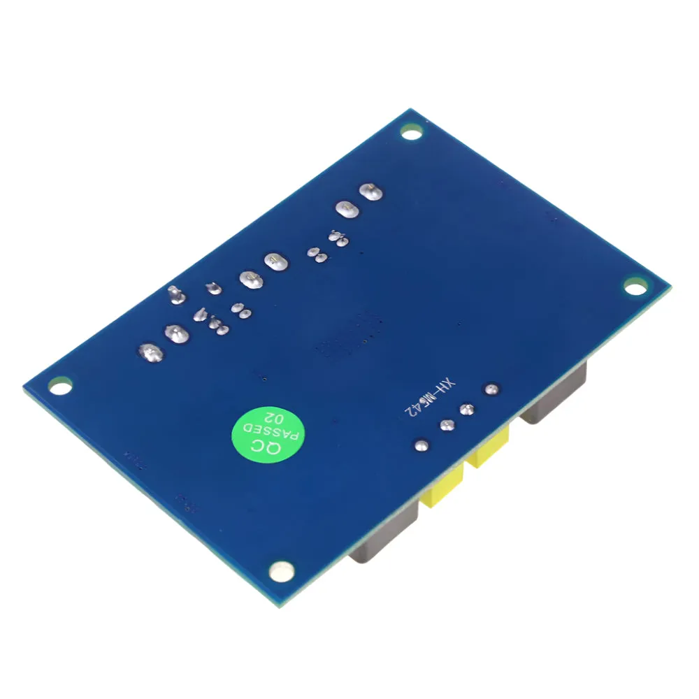TPA3116D2 digital power amplifier board mono 100W high power audio amplifier (original chip)